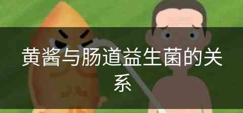 黄酱与肠道益生菌的关系(黄酱与肠道益生菌的关系是什么)